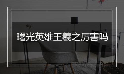 曙光英雄王羲之厉害吗