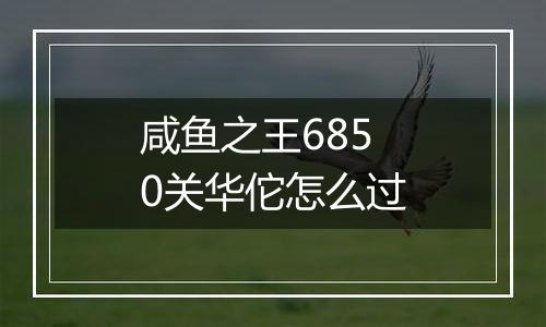 咸鱼之王6850关华佗怎么过
