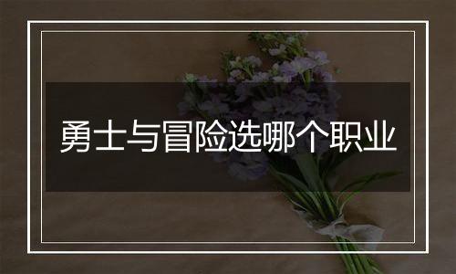 勇士与冒险选哪个职业