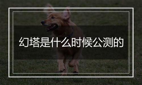 幻塔是什么时候公测的