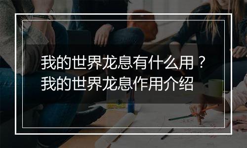 我的世界龙息有什么用？我的世界龙息作用介绍