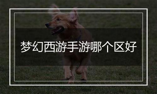 梦幻西游手游哪个区好