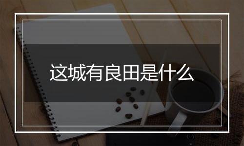 这城有良田是什么