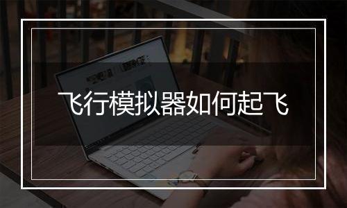 飞行模拟器如何起飞
