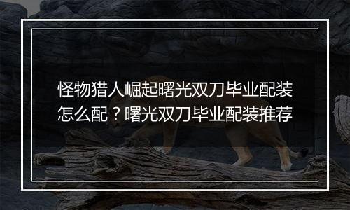 怪物猎人崛起曙光双刀毕业配装怎么配？曙光双刀毕业配装推荐