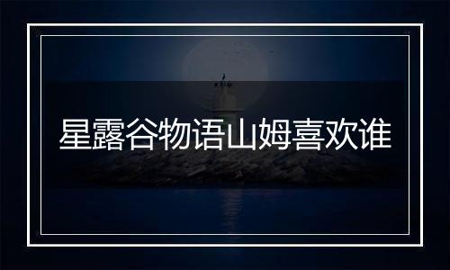 星露谷物语山姆喜欢谁