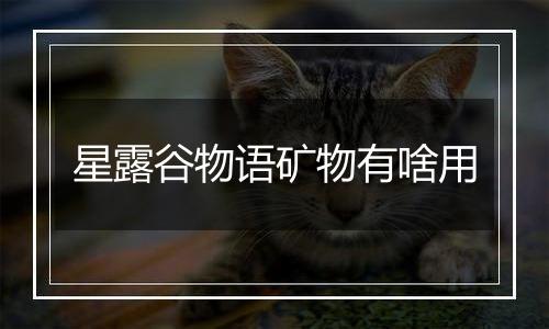星露谷物语矿物有啥用