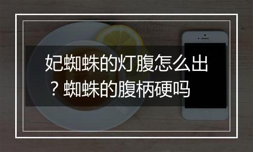 妃蜘蛛的灯腹怎么出？蜘蛛的腹柄硬吗