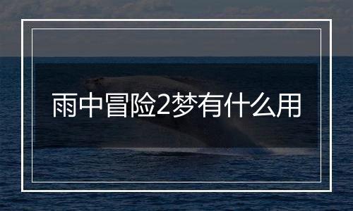雨中冒险2梦有什么用