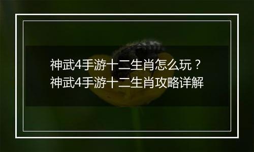 神武4手游十二生肖怎么玩？神武4手游十二生肖攻略详解
