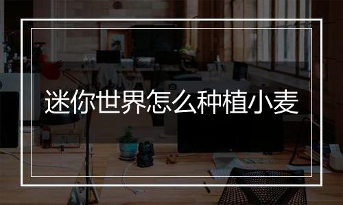 迷你世界怎么种植小麦