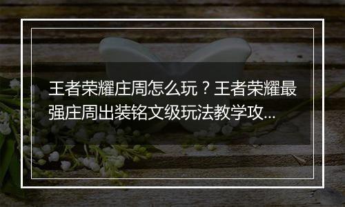王者荣耀庄周怎么玩？王者荣耀最强庄周出装铭文级玩法教学攻略