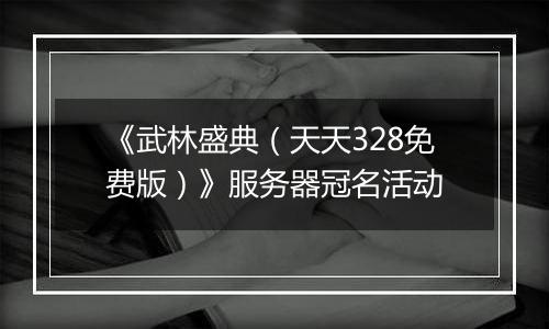 《武林盛典（天天328免费版）》服务器冠名活动
