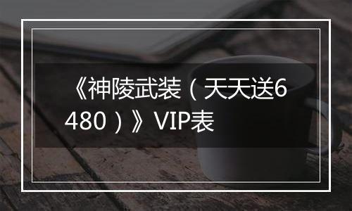 《神陵武装（天天送6480）》VIP表