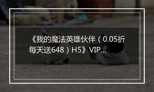 《我的魔法英雄伙伴（0.05折每天送648）H5》VIP等级表