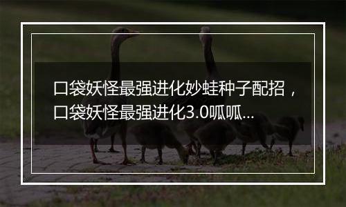 口袋妖怪最强进化妙蛙种子配招，口袋妖怪最强进化3.0呱呱泡蛙在哪抓？