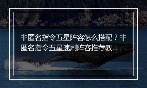 非匿名指令五星阵容怎么搭配？非匿名指令五星速刷阵容推荐教学