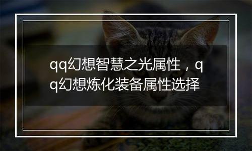 qq幻想智慧之光属性，qq幻想炼化装备属性选择
