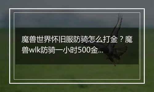 魔兽世界怀旧服防骑怎么打金？魔兽wlk防骑一小时500金教学攻略