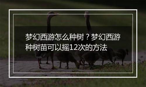 梦幻西游怎么种树？梦幻西游种树苗可以摇12次的方法