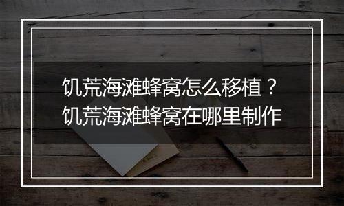 饥荒海滩蜂窝怎么移植？饥荒海滩蜂窝在哪里制作