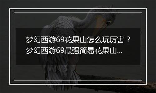 梦幻西游69花果山怎么玩厉害？梦幻西游69最强简易花果山装备及宝宝教学攻略