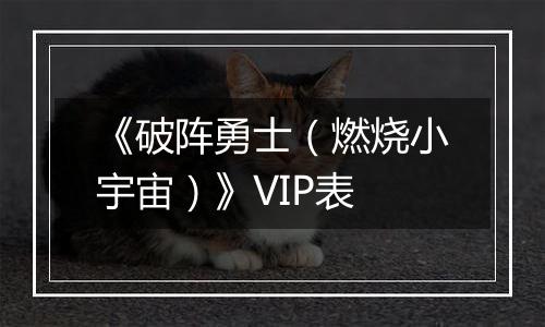 《破阵勇士（燃烧小宇宙）》VIP表