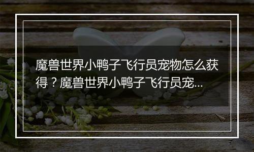 魔兽世界小鸭子飞行员宠物怎么获得？魔兽世界小鸭子飞行员宠物获得方法攻略