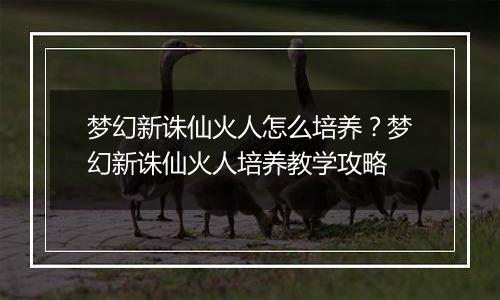 梦幻新诛仙火人怎么培养？梦幻新诛仙火人培养教学攻略