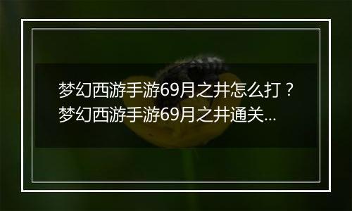 梦幻西游手游69月之井怎么打？梦幻西游手游69月之井通关全攻略
