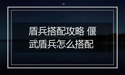 盾兵搭配攻略 偃武盾兵怎么搭配