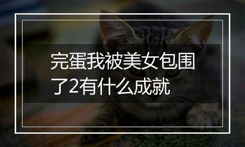 完蛋我被美女包围了2有什么成就