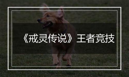 《戒灵传说》王者竞技