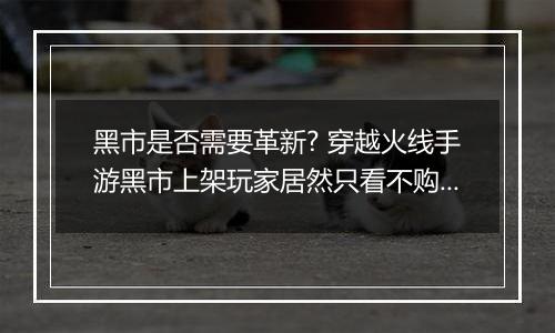 黑市是否需要革新? 穿越火线手游黑市上架玩家居然只看不购买