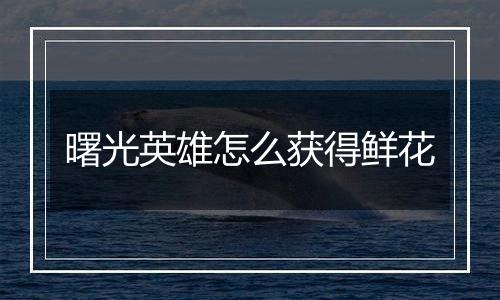 曙光英雄怎么获得鲜花