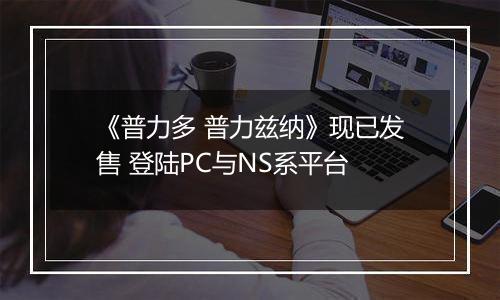 《普力多 普力兹纳》现已发售 登陆PC与NS系平台