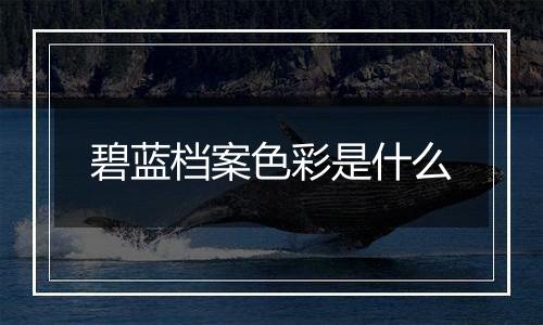碧蓝档案色彩是什么